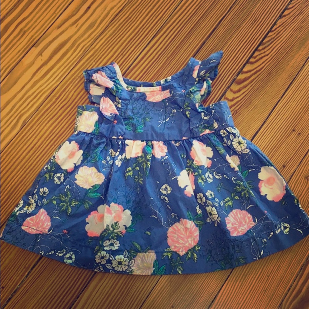 Baby Gap blue and pink floral dress with bloomers